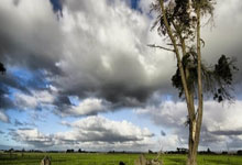 大连一方连胜收官,步入联赛前四