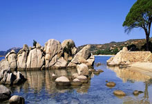 挪威男篮拼尽全力,惜败丹麦遗憾出局